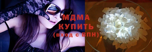 прущие грибы Лабытнанги