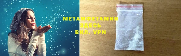 прущие грибы Лабытнанги