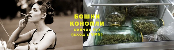 прущие грибы Лабытнанги