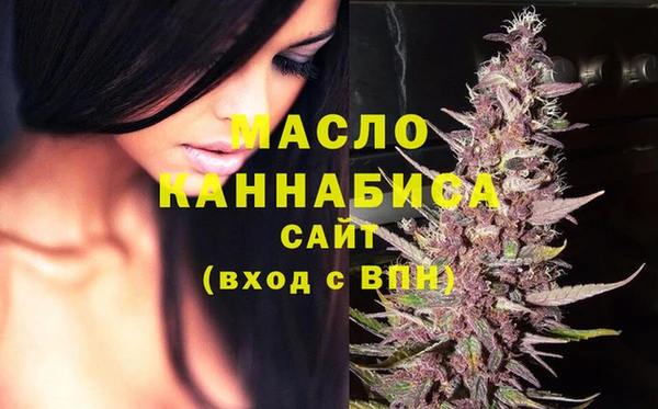 прущие грибы Лабытнанги
