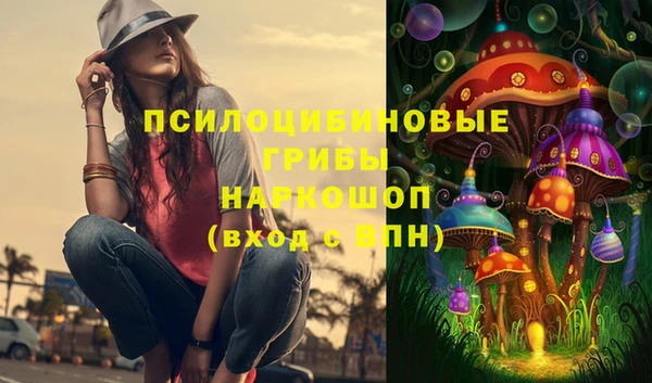 прущие грибы Лабытнанги