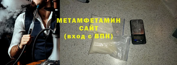 прущие грибы Лабытнанги