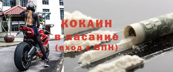 прущие грибы Лабытнанги
