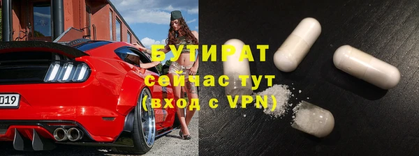 прущие грибы Лабытнанги