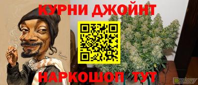 крисы Канаш