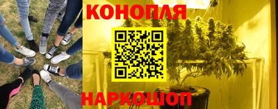 mdma Камышлов