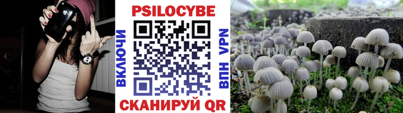 Галлюциногенные грибы Psilocybine cubensis  цена   Новошахтинск 