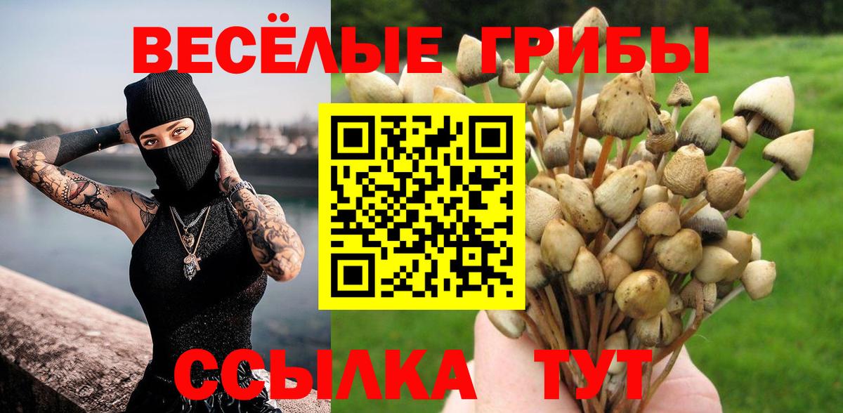 Новошахтинск  Галлюциногенные грибы MAGIC MUSHROOMS  Вход с VPN 